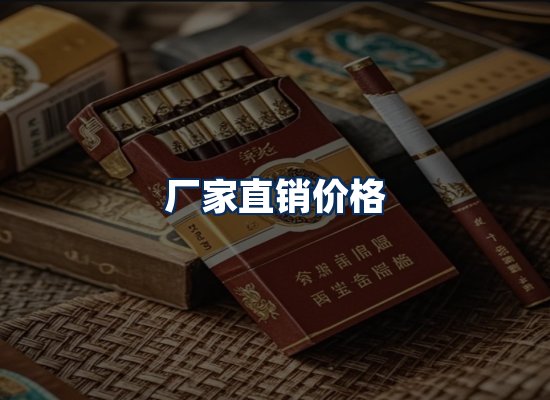 专业团队办公环境